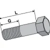 Bolt, 20 x 60