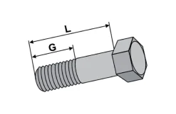 Bolt, 20 x 60