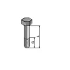 Bolt, 14 x 50