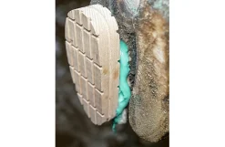 Bovi Hoof ECO glue klovlim