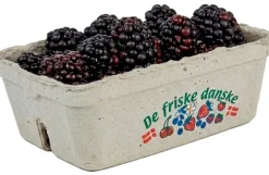 Bærbakke, De friske danske. 500 gram, 400 stk