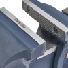 Diesella bænkskruestik, 150 mm spændvidde