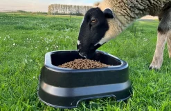 Fodertrug, 10 liter
