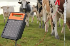 Gallagher batterihegn med solcelle S60li