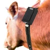 GPS tracker til husdyr, med solceller