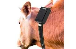 GPS tracker til husdyr, med solceller
