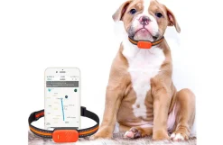 GPS tracker til større kæledyr