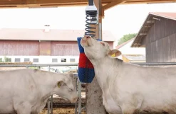 HappyCow kobørste, Flexi Swing