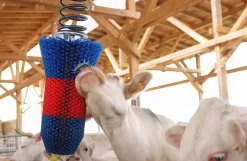 HappyCow kobørste, Flexi Swing