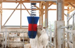 HappyCow kobørste, Flexi Swing