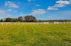 Hestehegn, 80 meter