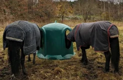 Høklokke