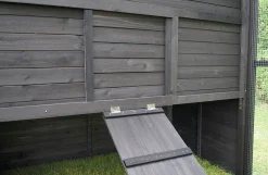Hønsehus, model XL