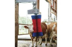 Kobørste, HappyCow Maxiswing