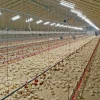 LED-armatur, 36W - 5000K