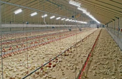 LED-armatur, 36W - 5000K