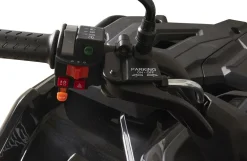 Loncin XWolf 300 ATV, inkl. klargøring