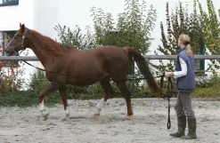 Longerline, 7.5 meter