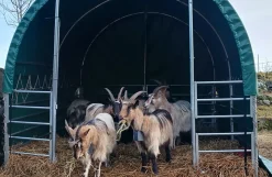 Læskur, 3 x 3 x 2,8 m, med åbne sider