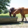Marktrug 1.000 liter