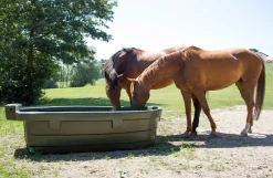 Marktrug 1.000 liter