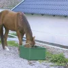 Vandtrug uden svømmer